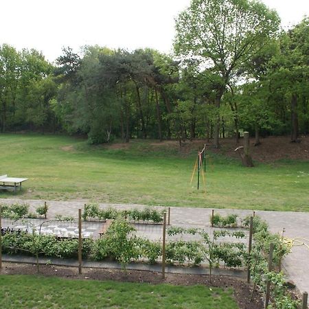 Vakantieboerderij 'T Zand - Appartement Heeswijk-Dinther Exteriér fotografie